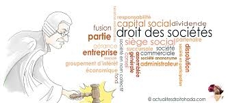 refflexion_1586930551lGazfI.jpeg